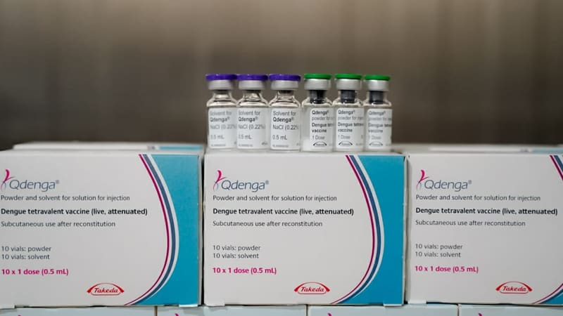 A QDenga é um imunizante tetravalente produzido a partir do vírus atenuado, ou seja, do micro-organismo enfraquecido | Foto: Iron Braz