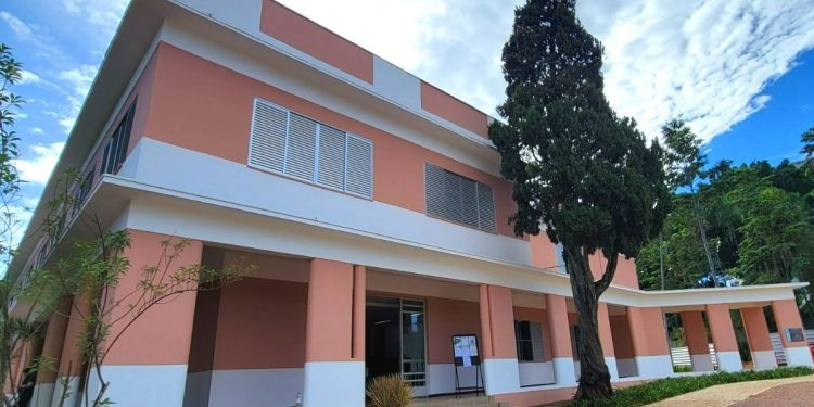 Secult Goiás abre consulta pública sobre Política Nacional Aldir Blanc