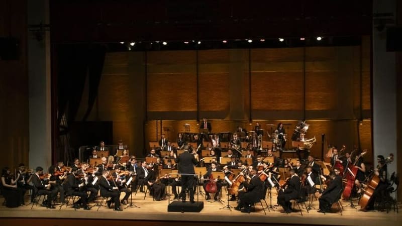 Os jovens músicos goianos partem para a Europa no dia 18 de agosto e retornam em 7 de setembro | Foto: Cinthia Oliveira