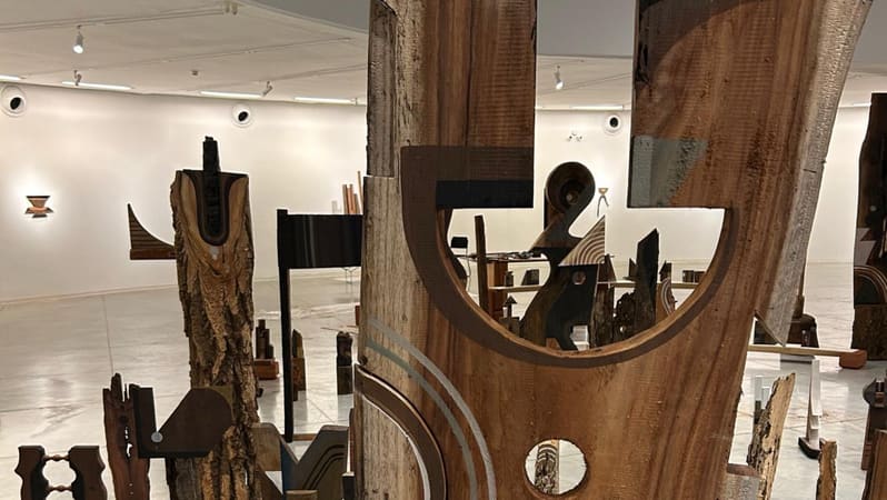 MAC Goiás recebe exposição inédita de Kboco com 135 obras a partir desta quinta-feira (12/9)