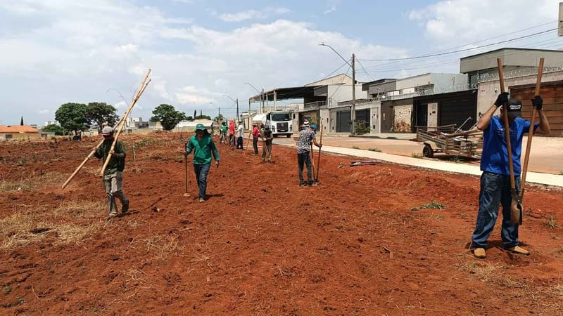 Neste ano, a iniciativa do ArborizaGyn é focada na manutenção e preservação da área que recebeu a primeira edição do programa há três anos | Foto: Amma