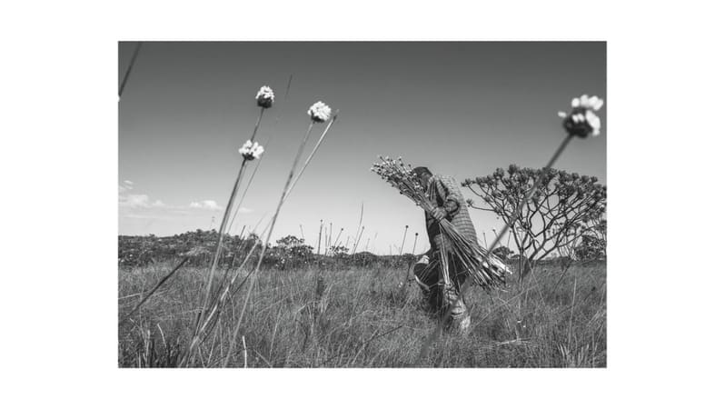 Exposição fotográfica Dentro será aberta no dia 12 de fevereiro, no Centro Cultural UFG