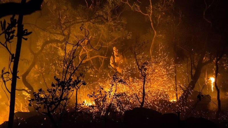Fapeg investe R$ 1 milhão na prevenção de incêndios no Cerrado de Goiás