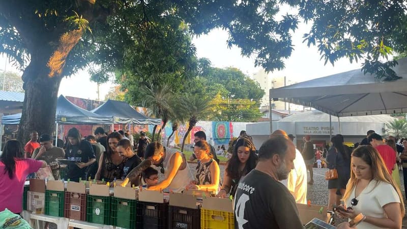 Vinillândia 2025: Feira de discos tem 1ª edição do ano em Goiânia