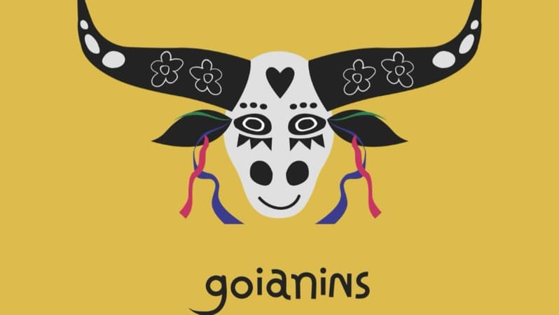 Goianins abre inscrições gratuitas para oficinas artísticas direcionadas a crianças típicas e atípicas