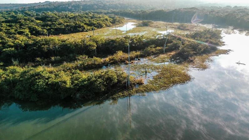 Porto das Antas: Documentário sobre reserva ecológica em Serranópolis estreia neste sábado (10/5)