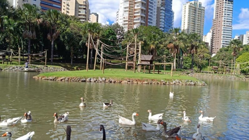 Zoológico de Goiânia é fechado após adotar medida preventiva