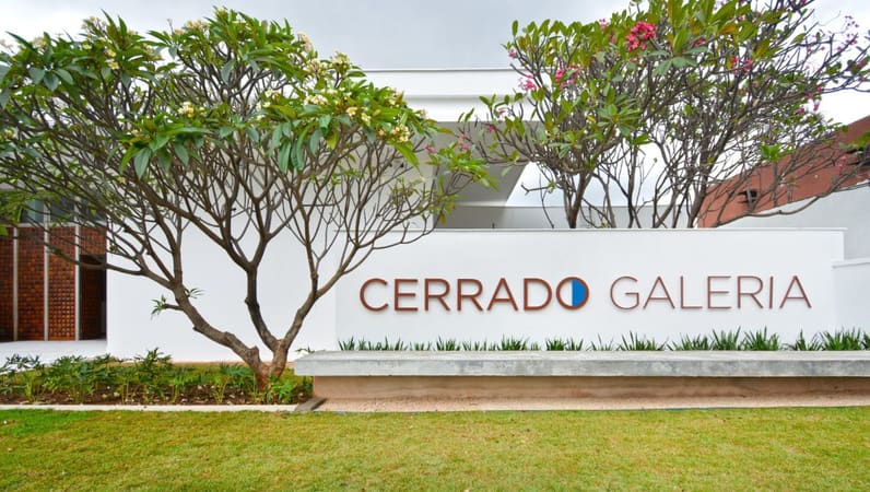 Cerrado Galeria recebe exposições gratuitas de Estêvão Parreiras e David Almeida