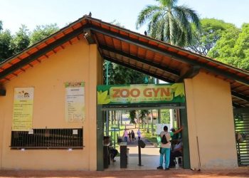Zoológico de Goiânia reabre nesta quinta-feira (12/6) após teste negativo para gripe aviária