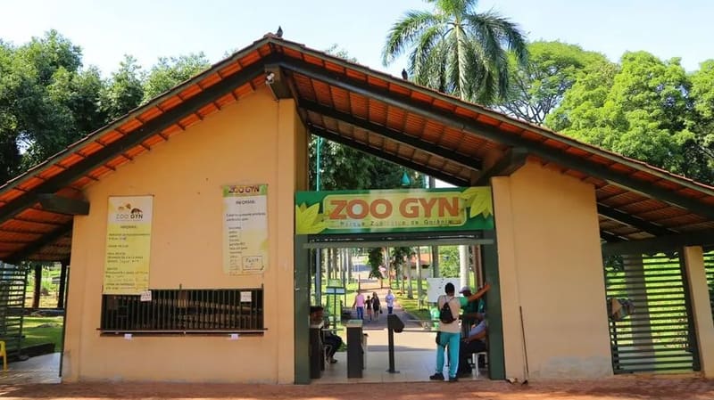 Zoológico de Goiânia reabre nesta quinta-feira (12/6) após teste negativo para gripe aviária