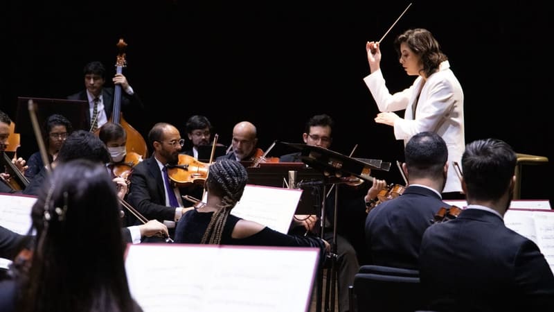 No programa, o público poderá apreciar algumas das obras mais conhecidas de Strauss, como “No Belo Danúbio Azul” e “Valsa do Imperador” | Cinthia Oliveira