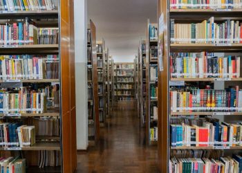 Biblioteca Pio Vargas retoma atendimento presencial a partir desta segunda-feira (21/7)