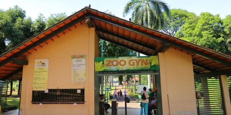 Zoológico de Goiânia promove programação especial com foco na preservação de animais