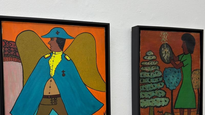Museu de Arte de Goiânia recebe exposição do Artista Waldomiro de Deus