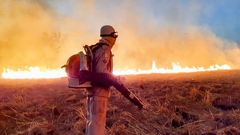 Aplicativo permite população a informar focos de incêndio em Goiânia