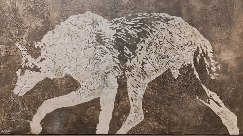 Exposição “Arte Cerrado”, de Joel Costa, chega ao Passeio das Águas Shopping