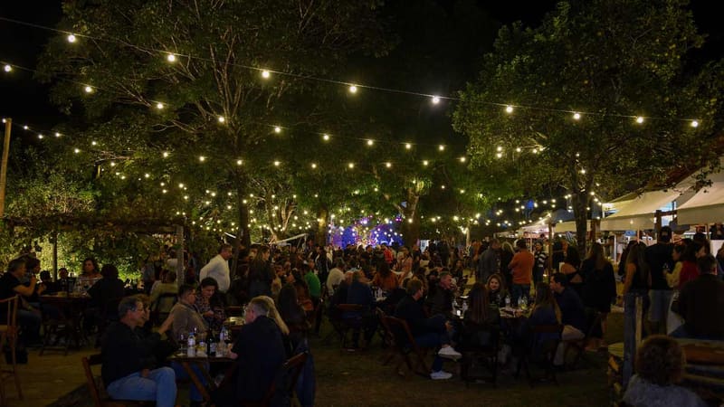 Wine Jazz Goiânia: 1ª edição acontece no mês de setembro