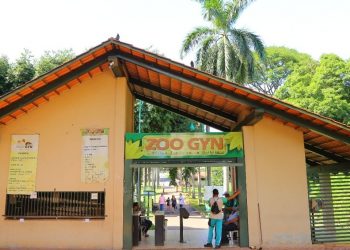 Zoológico de Goiânia terá programação especial para o Dia das Crianças