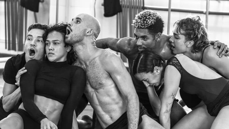 Giro8 Cia de Dança estreia novo espetáculo: “Ecdise”