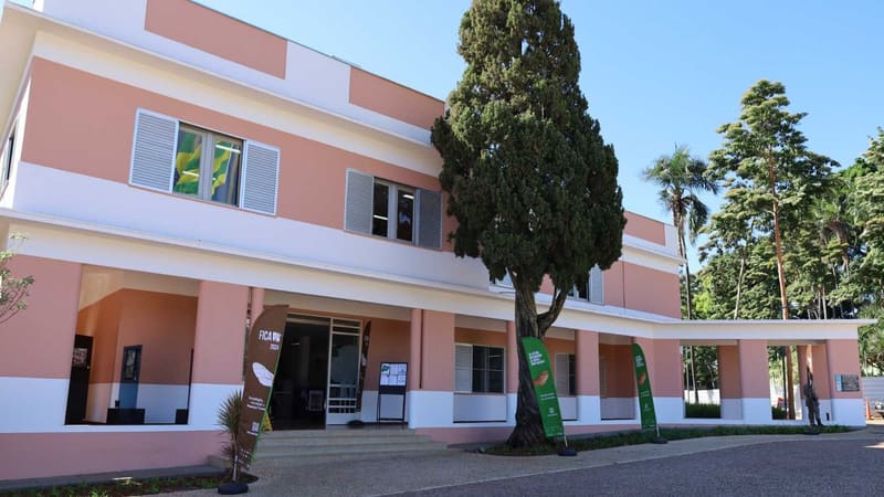Secult Goiás lança sistema de gestão de editais Baru 2.0