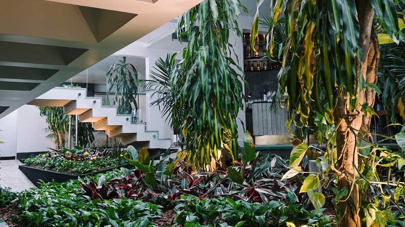 Íz Hotel Conceito: um hotel boutique no interior do restaurante mais premiado de Goiânia