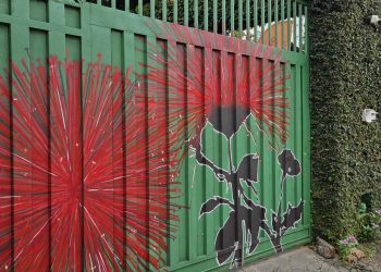 Projeto Cerradim abre inscrições para oficinas infantis gratuitas inspiradas em Burle Marx