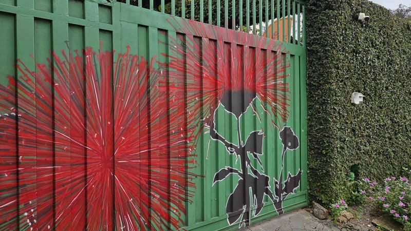 Projeto Cerradim abre inscrições para oficinas infantis gratuitas inspiradas em Burle Marx