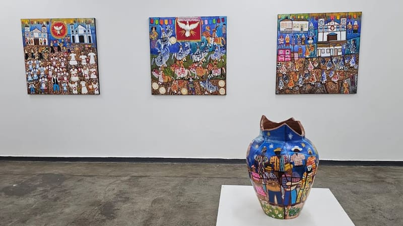 Museu de Arte de Goiânia recebe exposição “Raízes Encontradas em Goiás”, da artista Helena Vasconcelos
