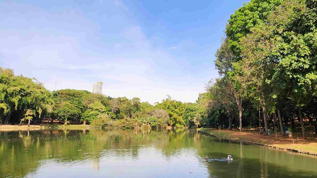 parque areiao fotor 2026031616209 1