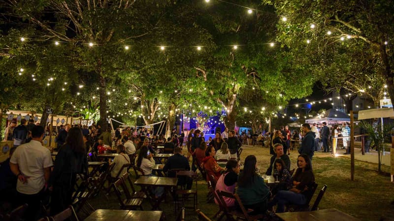 Wine Jazz Piri traz a Goiás trio comandado por filho de Caetano Veloso