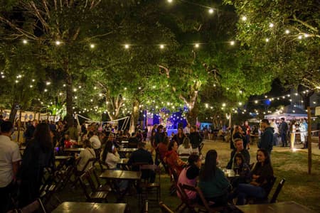 Wine Jazz Piri traz a Goiás trio comandado por filho de Caetano Veloso