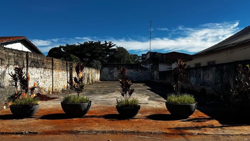 Comurg instala barreira vegetal em área do césio-137 para impedir uso irregular