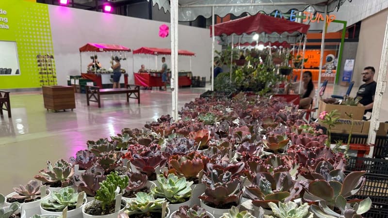 Bazar Estação das Plantas realiza edição de Dia das Mães