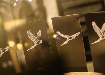 Exposição transforma brinquedos ópticos em arte inspirada no Cerrado