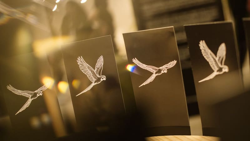 Exposição transforma brinquedos ópticos em arte inspirada no Cerrado