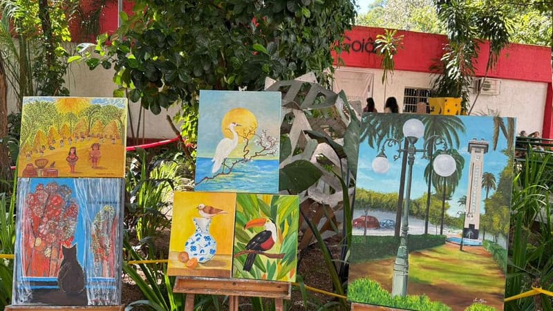 Alunos, professores e famílias podem apreciar apresentações e exposições culturais e a primeira edição da “Feira Feito à Mão” | Foto: Secult Goiânia