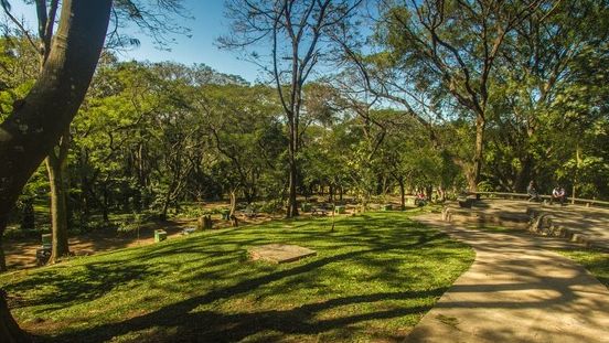 10 parques em São Paulo que unem história, natureza e cultura de rua