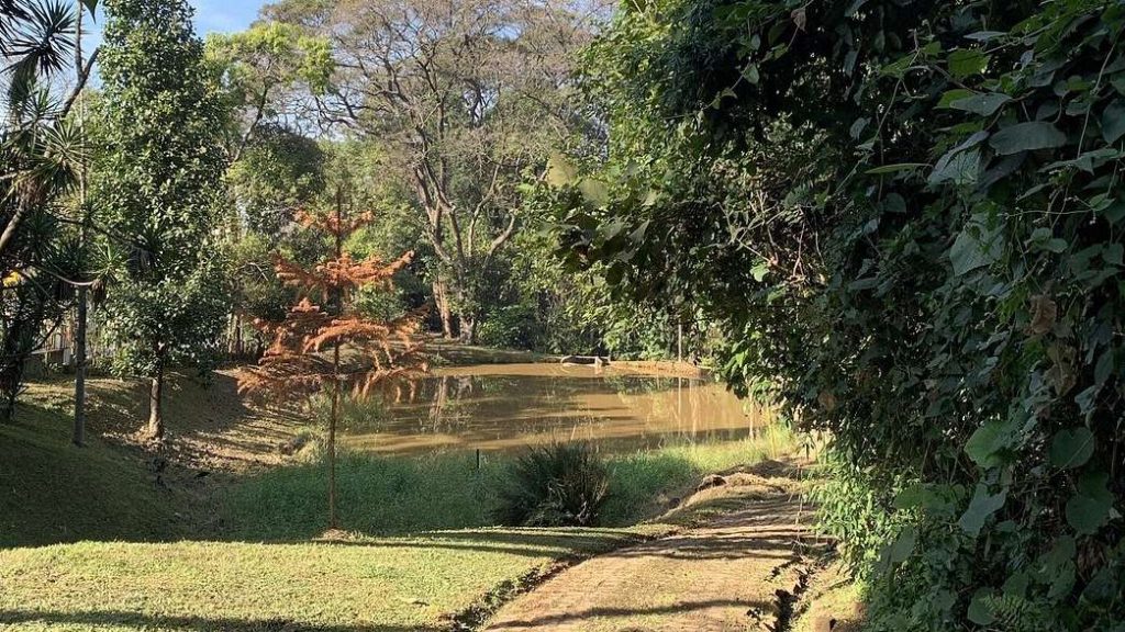 10 parques em São Paulo que unem história, natureza e cultura de rua 