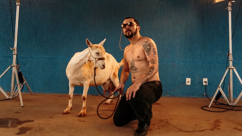 Cidade Rock ganha edição especial de festa junina no sábado (20/6)
