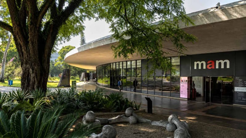 MAM São Paulo reabre no Parque Ibirapuera após 2 anos de obras