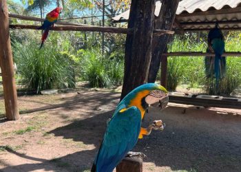 Zoológico altera cuidados com animais durante variações de temperatura