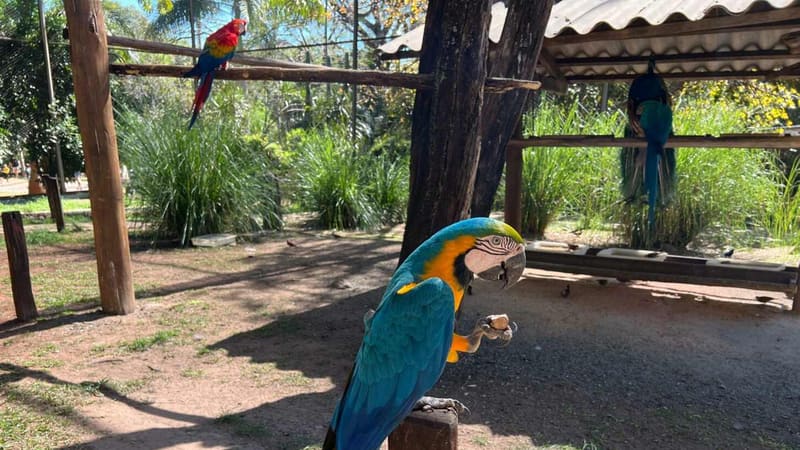 Zoológico altera cuidados com animais durante variações de temperatura