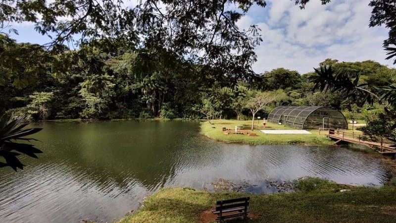 Goiânia terá Zonas de Desenvolvimento Sustentável e 16km de corredores verdes