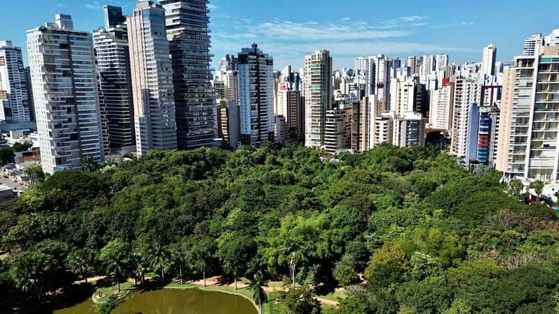 Goiânia conquista reconhecimento internacional por ações de mitigação das mudanças climáticas