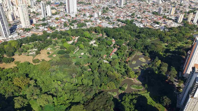 Observatório de Turismo realiza pesquisa para traçar perfil dos turistas que visitam Goiânia na alta temporada