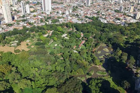 Observatório de Turismo realiza pesquisa para traçar perfil dos turistas que visitam Goiânia na alta temporada