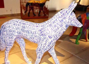 Goiânia recebe 4ª edição da Exposição Fauna e Flora