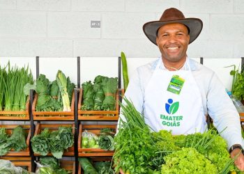 Emater Goiás promove feira de agricultura familiar nesta sexta-feira (24/7) em Goiânia