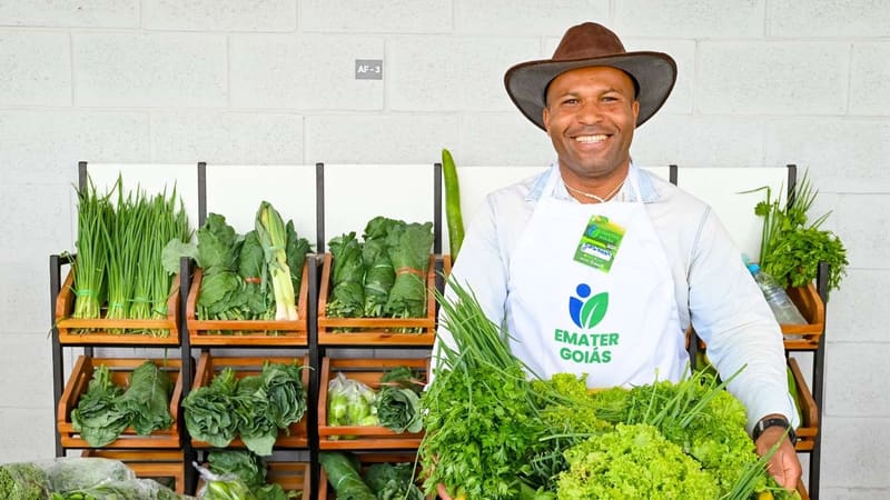 Emater Goiás promove feira de agricultura familiar nesta sexta-feira (24/7) em Goiânia