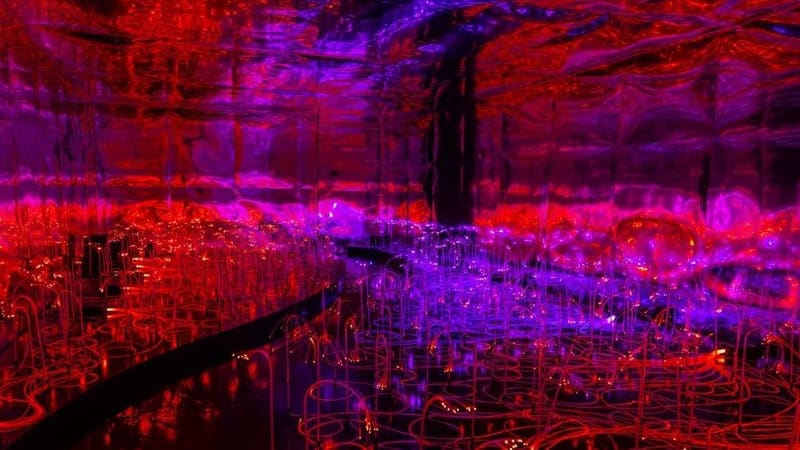 São Paulo recebe exposição imersiva inspirada em Alice no País das Maravilhas